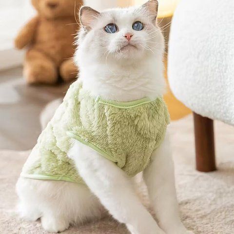 Піжама для котів і собак тепла Зелена Розмір XS Podarkus DK054-Gr-XS DK054-Gr-XS фото