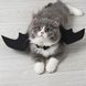 Костюм для животных Крылья летучая мышь черные маленькие на Хэллоуин Podarkus DK007-S DK007-S фото 1