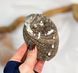 Чаша для окуривания мини Морская раковина Абалон 9 см Подставка под благовония AK020 AK020 фото 8