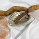 Чаша для окуривания мини Морская раковина Абалон 9 см Подставка под благовония AK020 AK020 фото 9