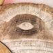 Антична спіритична дошка OUIJA англійською мовою 34909B 34909B фото 3
