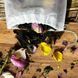Чайный пакетик для ванны Травяной оазис 50 грамм Podarkus Натуральные травы NN110 NN110 фото 3